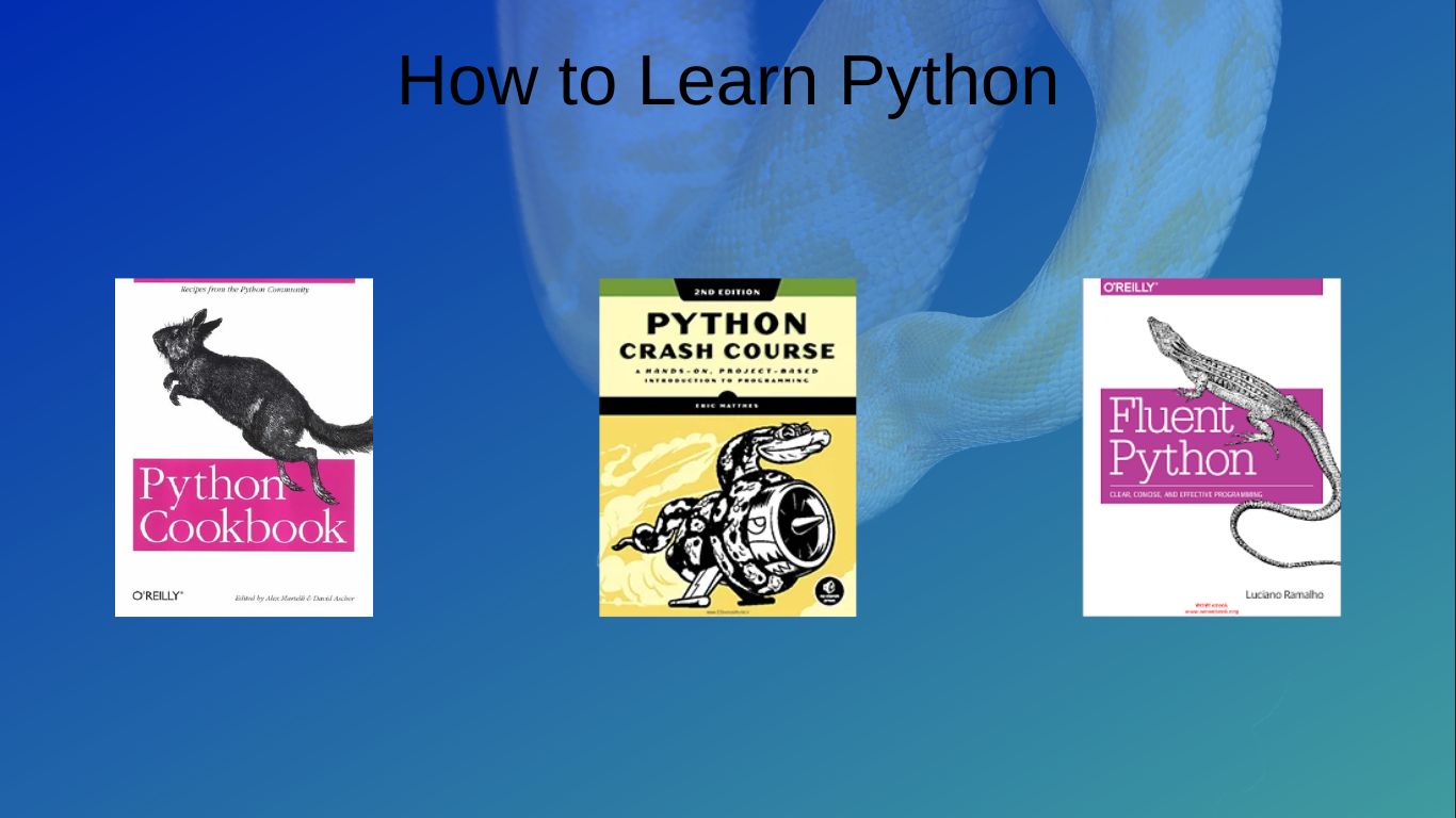 Python: с чего начать изучение и какие ресурсы использовать